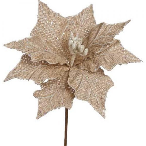 Χριστουγεννιάτικο Λουλούδι Αλεξανδρινό, Καφέ Λινάτσα (22cm)